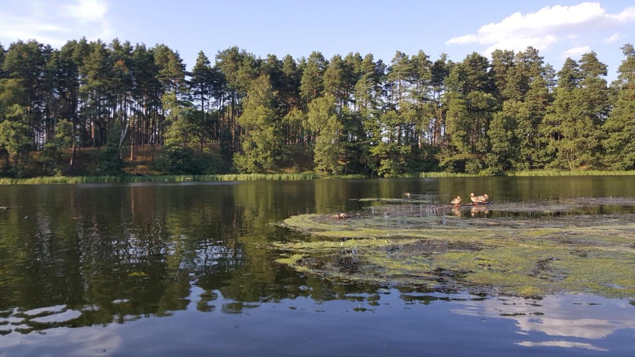 Osrodek Wypoczynkowy Soszko Villa Swornegacie Luaran gambar