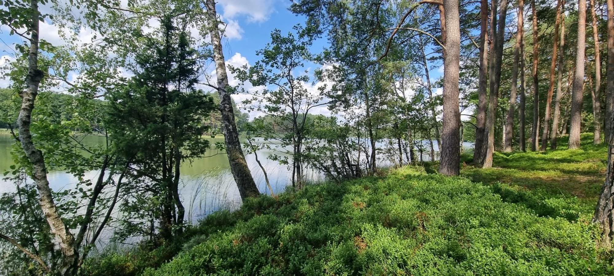 Osrodek Wypoczynkowy Soszko Villa Swornegacie Luaran gambar