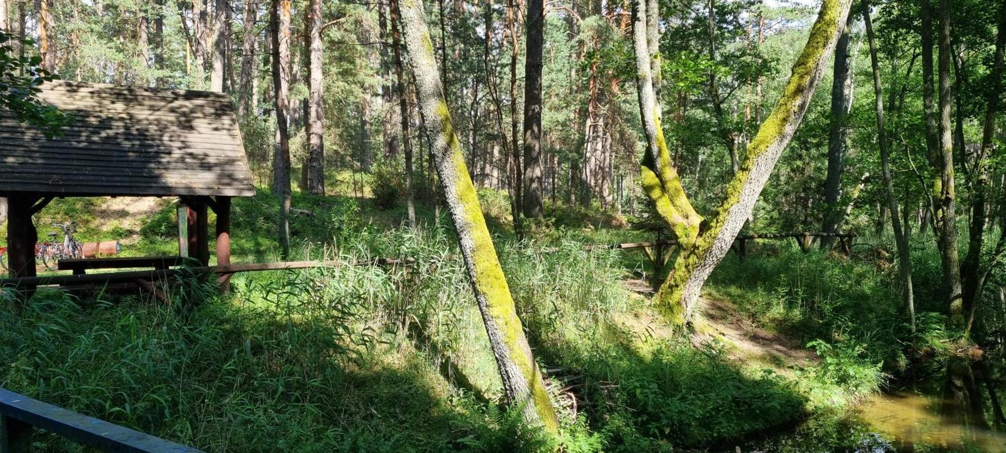 Osrodek Wypoczynkowy Soszko Villa Swornegacie Luaran gambar